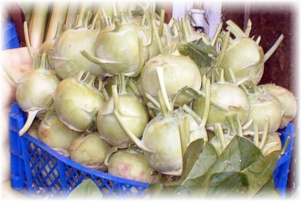 rễ xuống