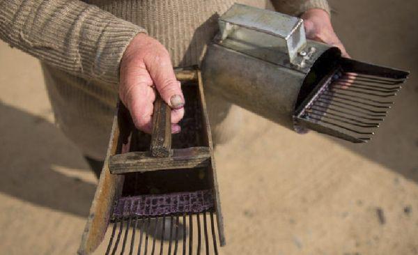 Homemade berry picker