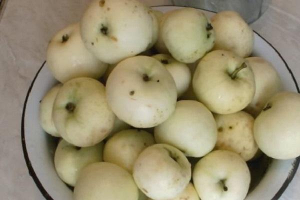 Una receta deliciosa para hacer compota de manzanas enteras para el invierno.