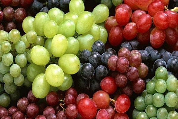 preparando uvas