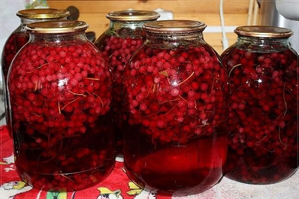 currant berries 