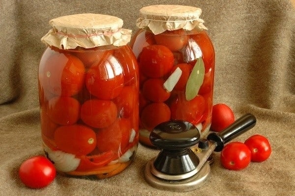 rajče ve 3litrové nádobě