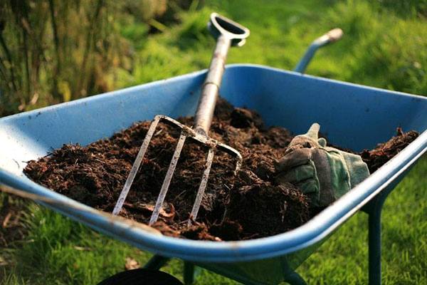 Horse manure in a wheelbarrow