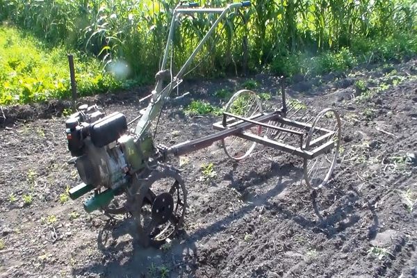 aardappelrooiers op de grond