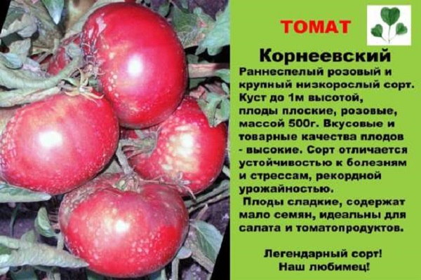 vlastnosti rajčat 