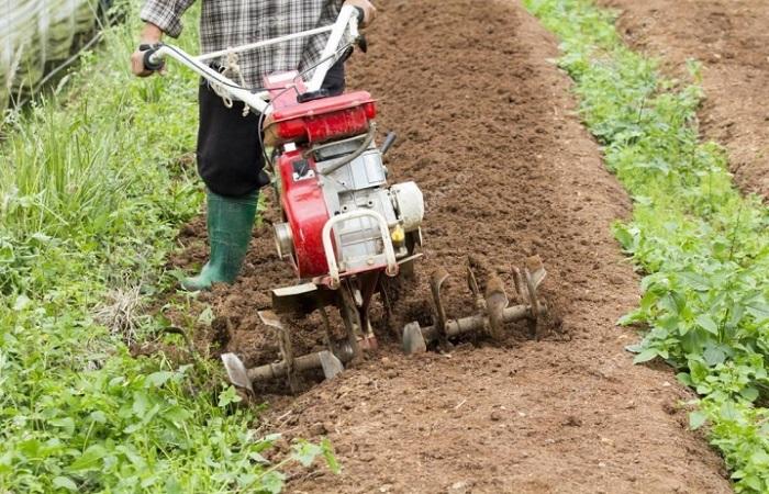 Steuerung des handgeführten Traktors 