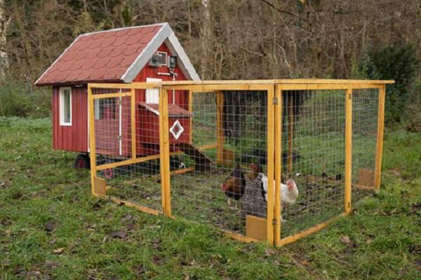 poultry house built 