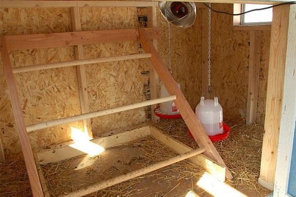 arrangement of a chicken coop 