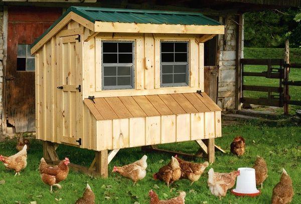 DIY chicken coop