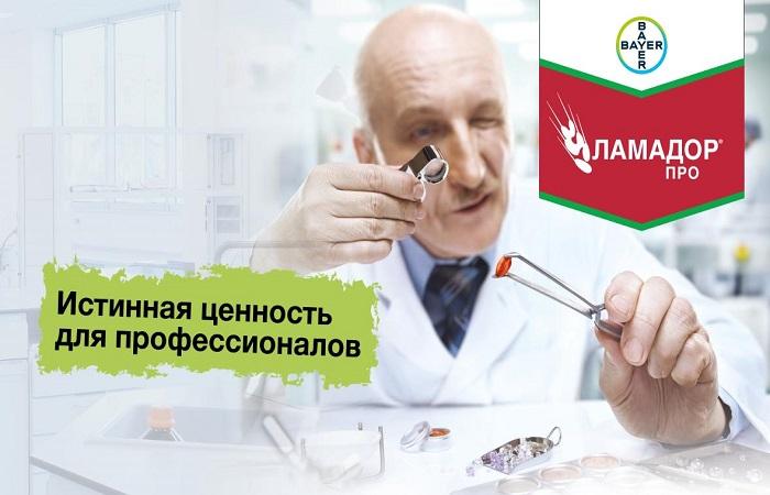 професор пинцетом 