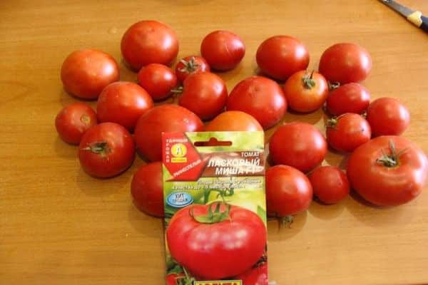 tomato cultivation varieties