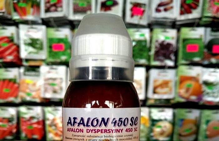 Afalon in a bottle 