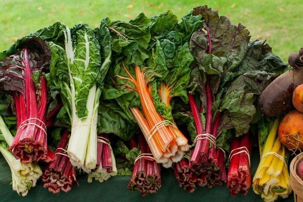 beet chard