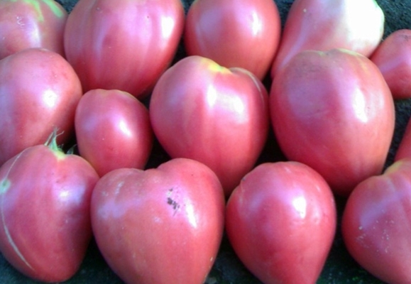 corazones de buey en un montón