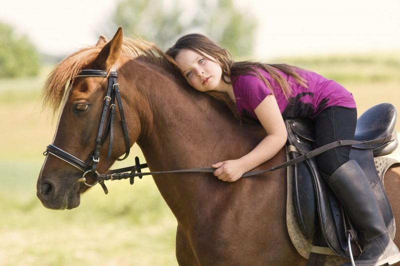 kůň a dívka