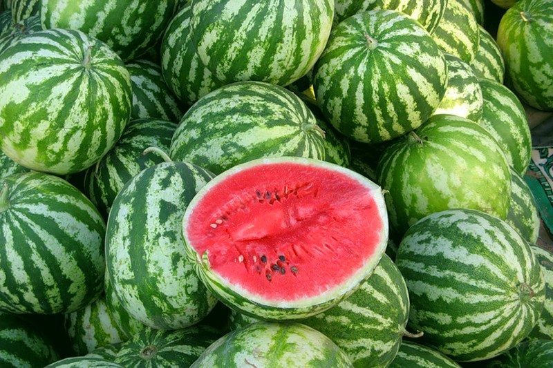 zralé vodní melouny