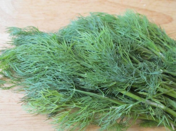 bunch of dill