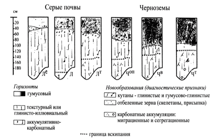 διεργασίες σχηματισμού εδάφους