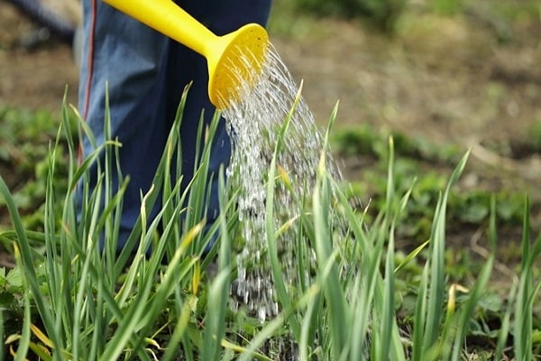 irrigation features