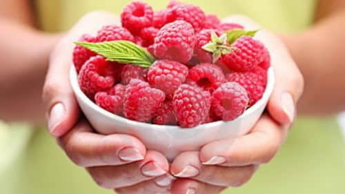 fresh raspberries