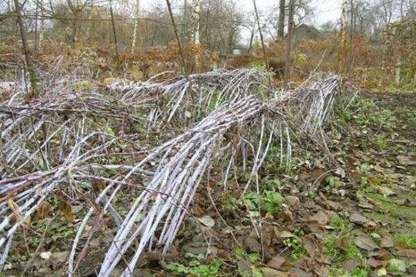 für den Winter weglegen 