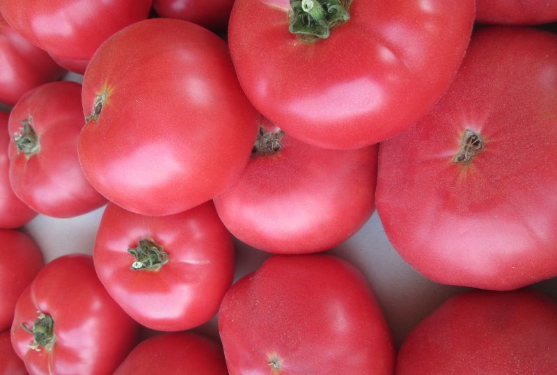 viele Tomaten