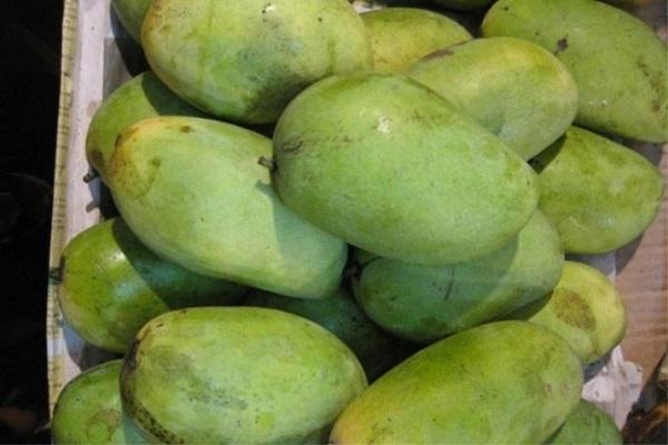 green fruits 