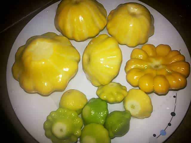 calabaza en un plato 