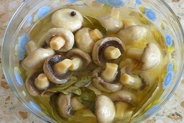 Champignon marinate