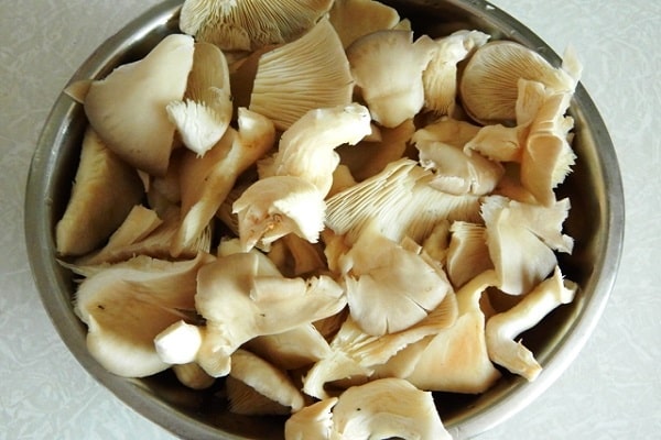 champignons om te beitsen