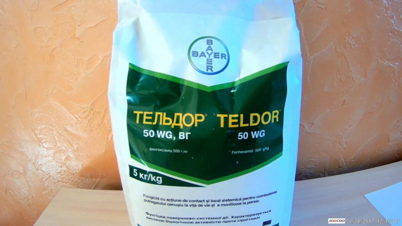 tellor-fungicide