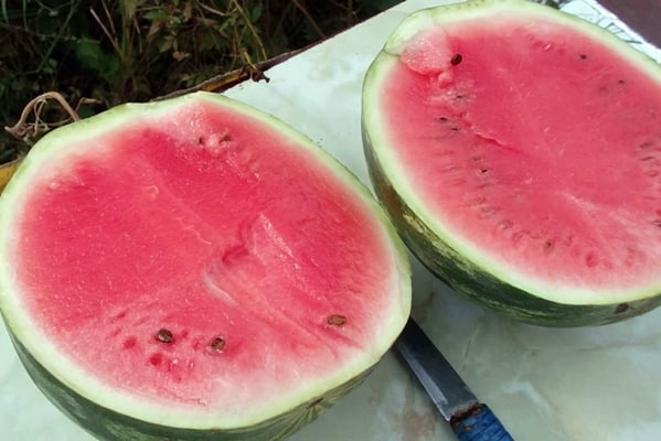 výrobce řezaných melounů
