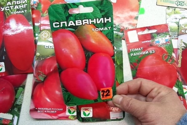 tomato variety Slavyanin