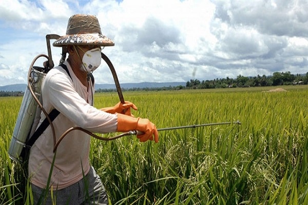 tratamiento con pesticidas