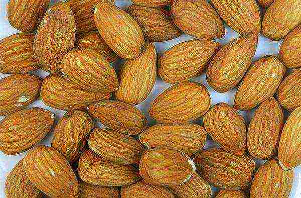 amandes entières