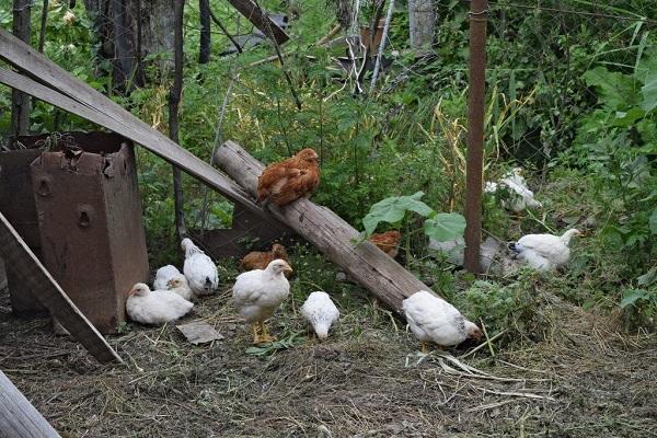 Wartung im Freien 