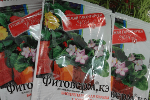 phytoverm chống côn trùng 