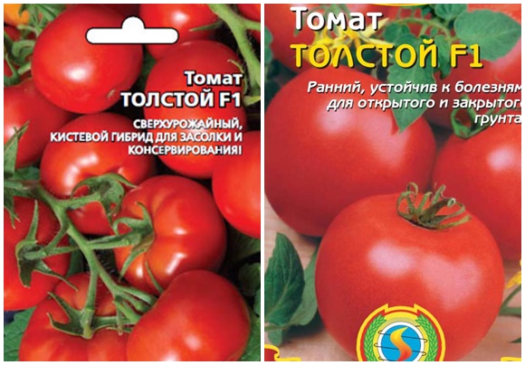 sementes grossas de tomate f1