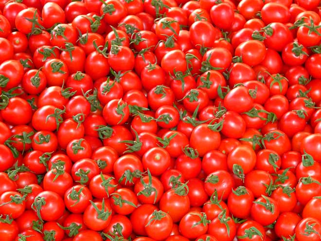 tomates mûres