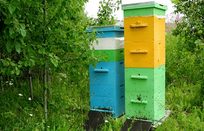 dispositivo en el jardín 