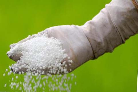 urea properties