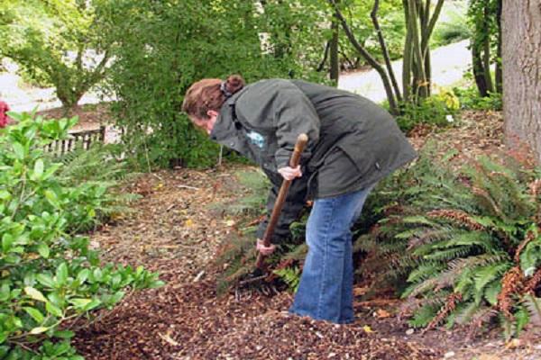 loosening the soil