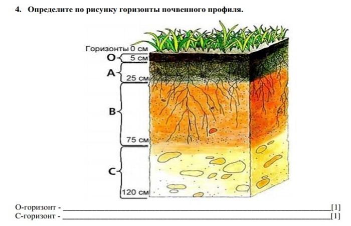 профил земљишта