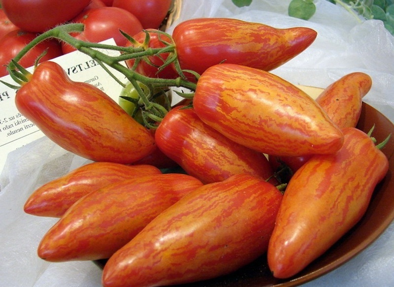 tomate rojo delicia de Moscú