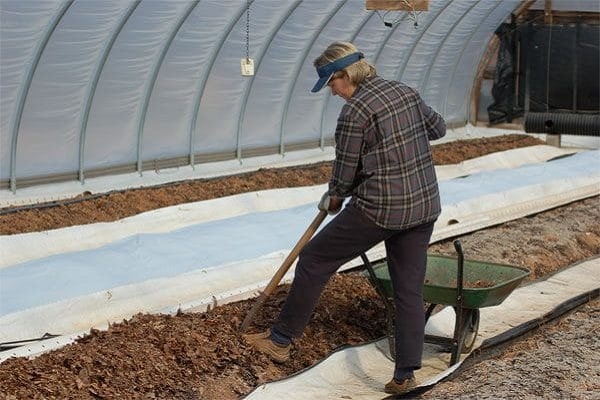 soil in a greenhouse