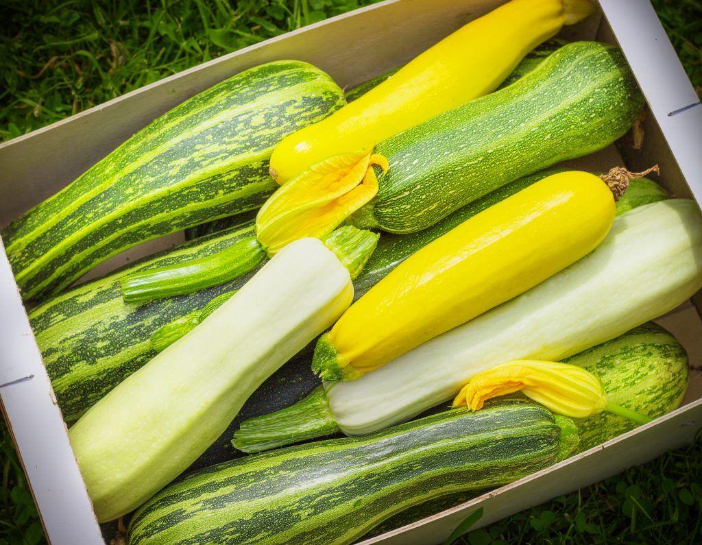 en masse zucchini