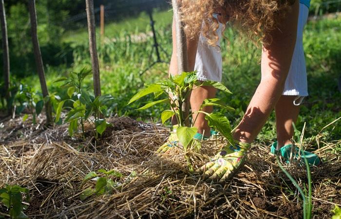 maak het tuinbed compleet 