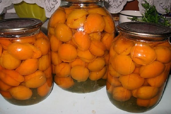 apricot with pits