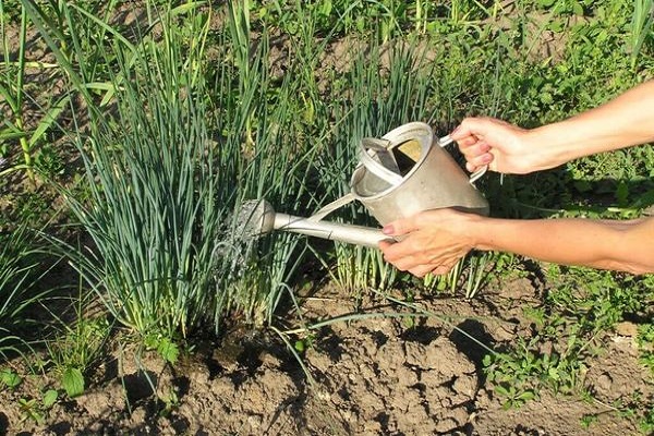 agrotekniset toimenpiteet 