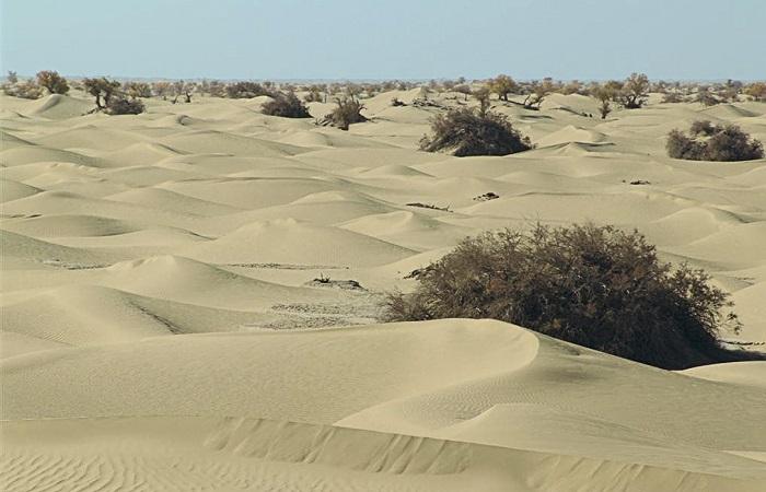 crêtes de sable